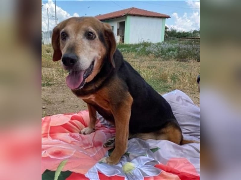 *Handicap* Anna - Schmusebacke mit Lebenswillen und Lebensfreude