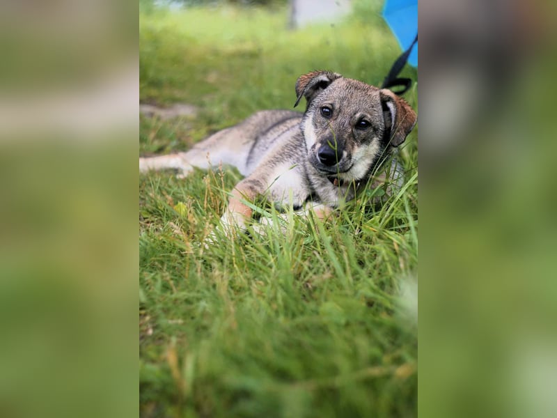 Verschmuste Vivien sucht ihre Familie