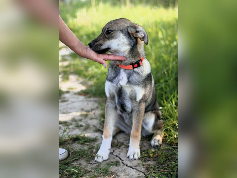 Schüchterne Vivien sucht ihre Menschen