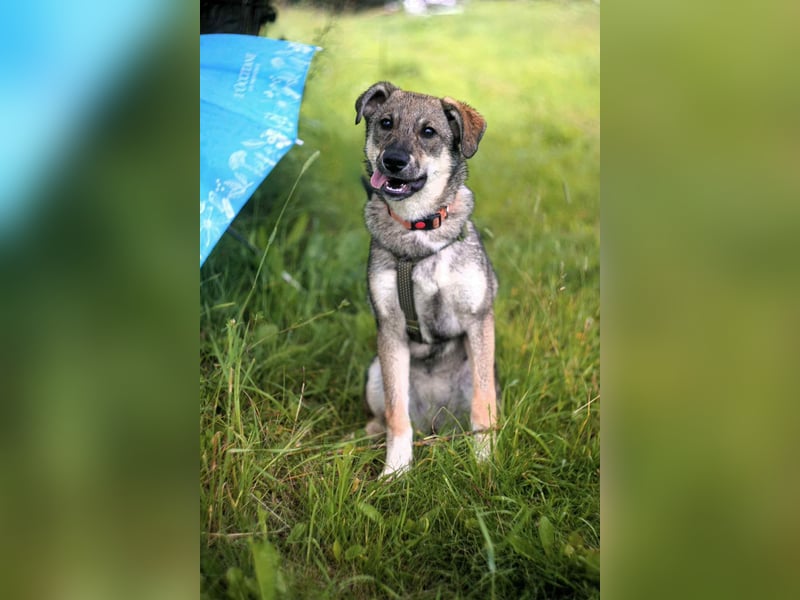 Schüchterne Vivien sucht ihre Menschen