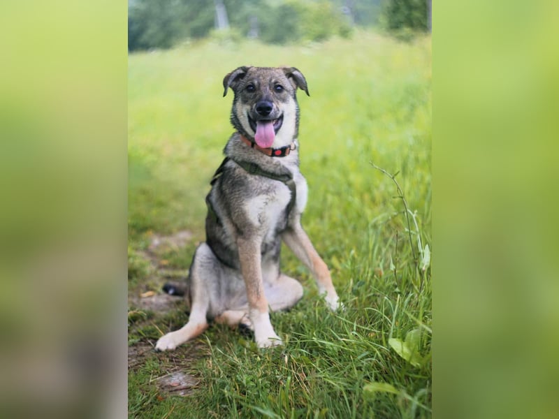 Schüchterne Vivien sucht ihre Menschen