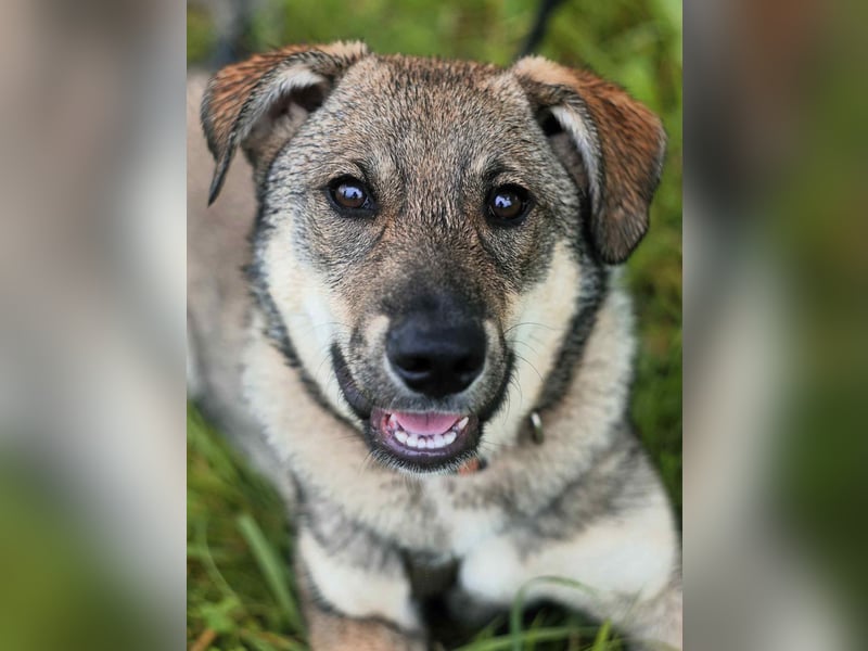 Schüchterne Vivien sucht ihre Menschen