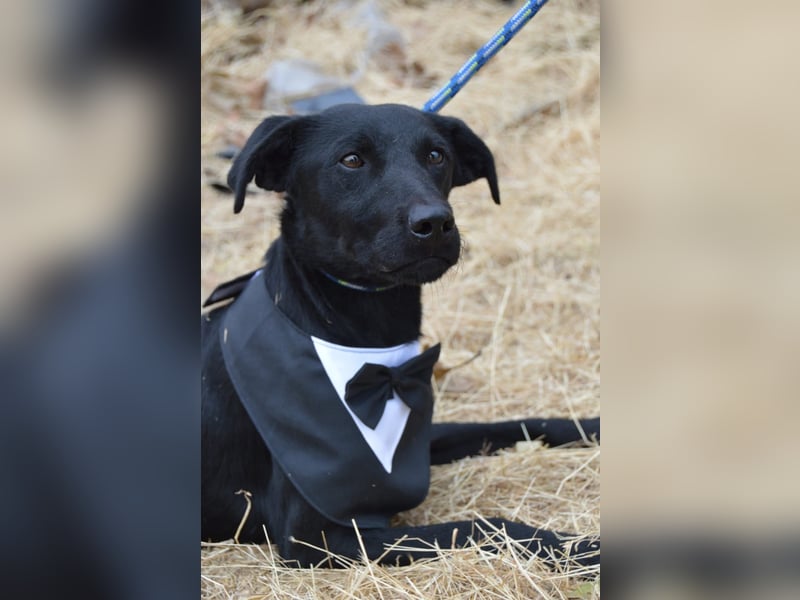 Nathan von kettenlos