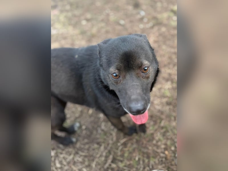 Maylin von kettenlos