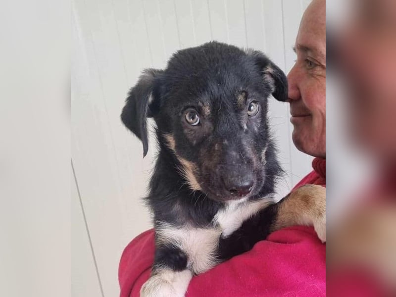 Philipp von kettenlos