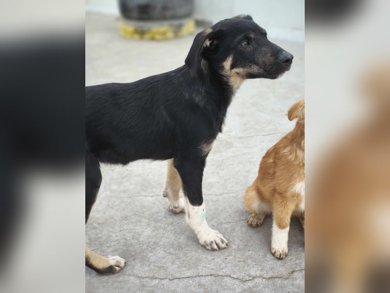 Philipp von kettenlos