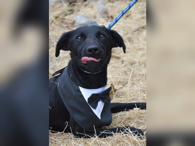 Nathan von kettenlos