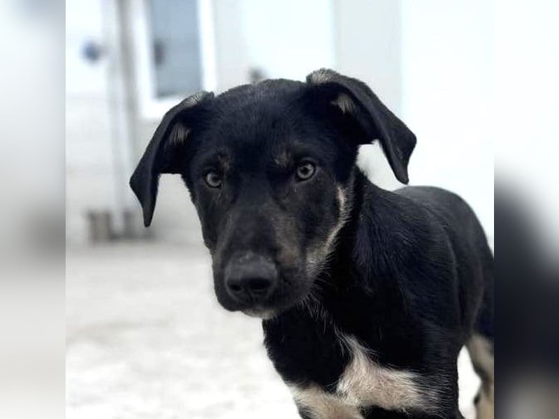 Philipp von kettenlos