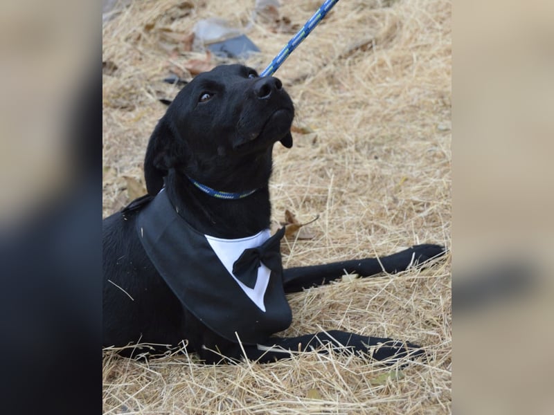 Nathan von kettenlos