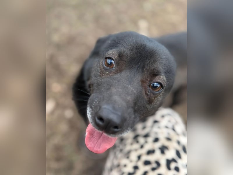 Maylin von kettenlos