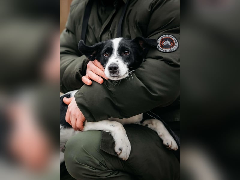 Lebensfroher Henry sucht seine Familie