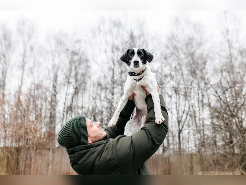 Lebensfroher Henry sucht seine Familie
