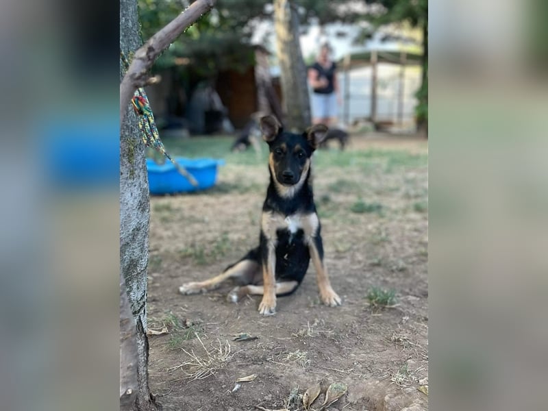 Mo sucht liebevolle Familie