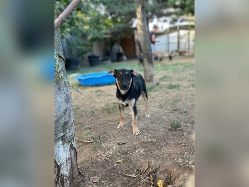 Mo sucht liebevolle Familie