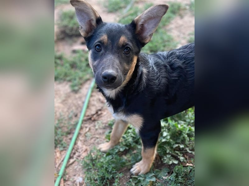 Mo sucht liebevolle Familie