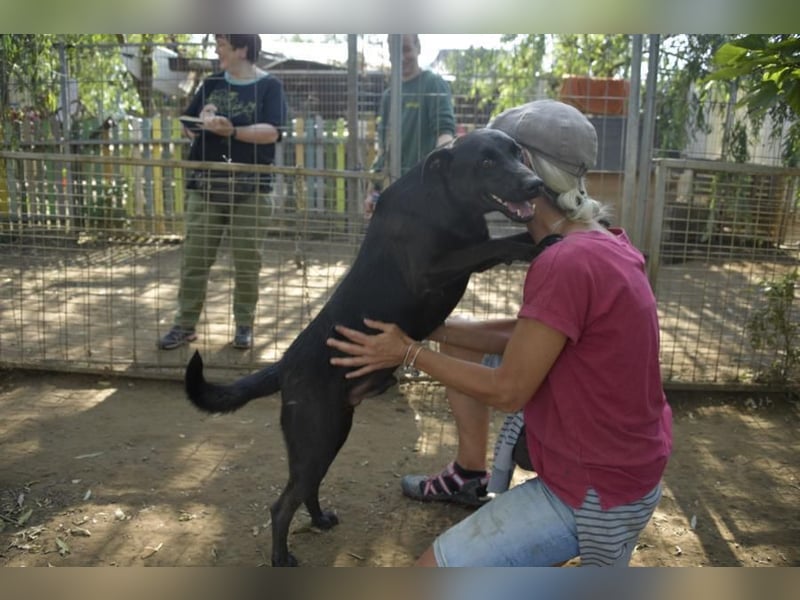 Billy-baut gerne Sandburgen, braucht dabei aber einen sicheren Partner an seiner Seite