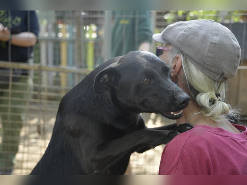 Billy-baut gerne Sandburgen, braucht dabei aber einen sicheren Partner an seiner Seite