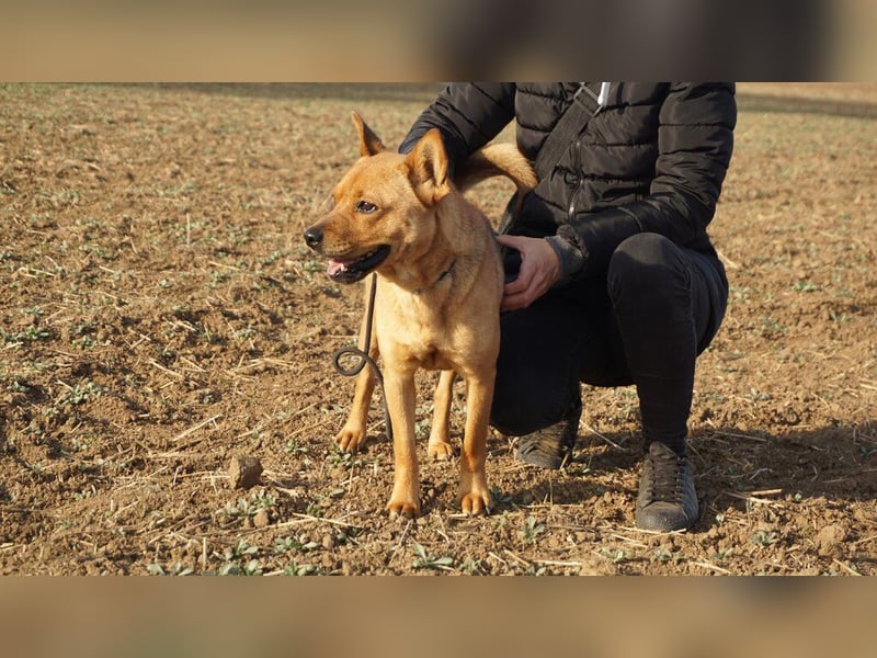 Maggi, mit Hummeln im Hintern sucht Ihre Lieblingsmenschen