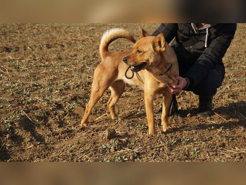 Maggi, mit Hummeln im Hintern sucht Ihre Lieblingsmenschen