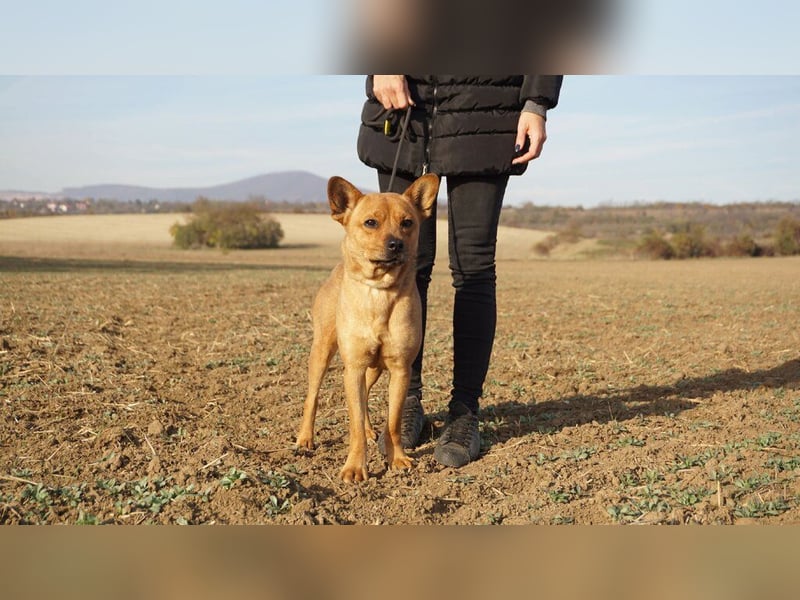 Maggi, mit Hummeln im Hintern sucht Ihre Lieblingsmenschen