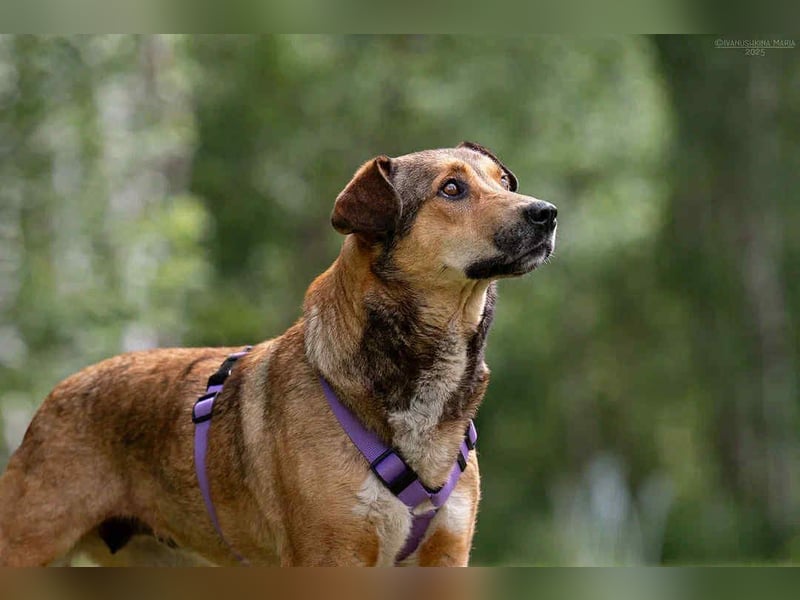 Soziale Rita sucht liebevolles Zuhause Soziale Rita sucht liebevolles Zuhause