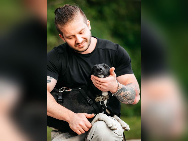 Liebevolle Stella sucht ihre Familie