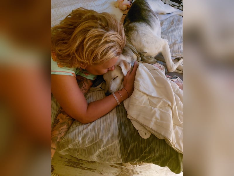 Rookie aus 40764 Langenfeld verliert sein Zuhause, da Herrchen verstorben ist