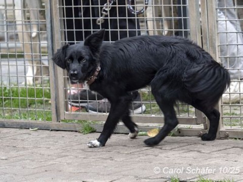 Aurora ist fröhlich und geht gerne spazieren