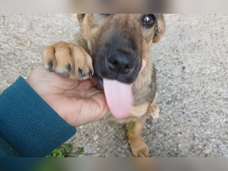 verschmuster Toni verschmuster Toni