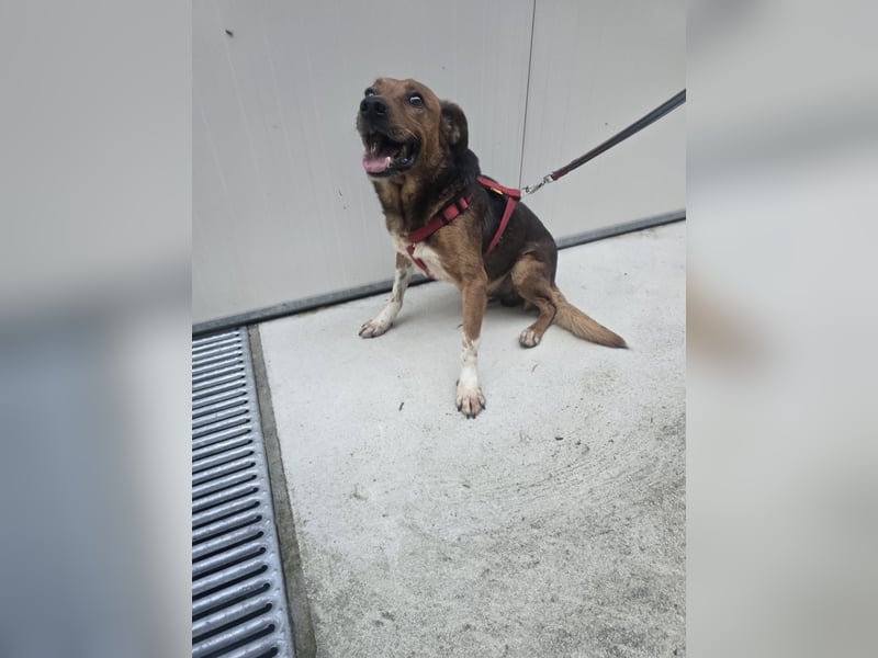 Teilst du Hoods unerschütterliche Lebensfreude?