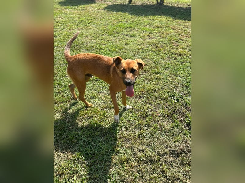 Geben Sie Loki den Sonnenschein wieder zurück ins Leben?