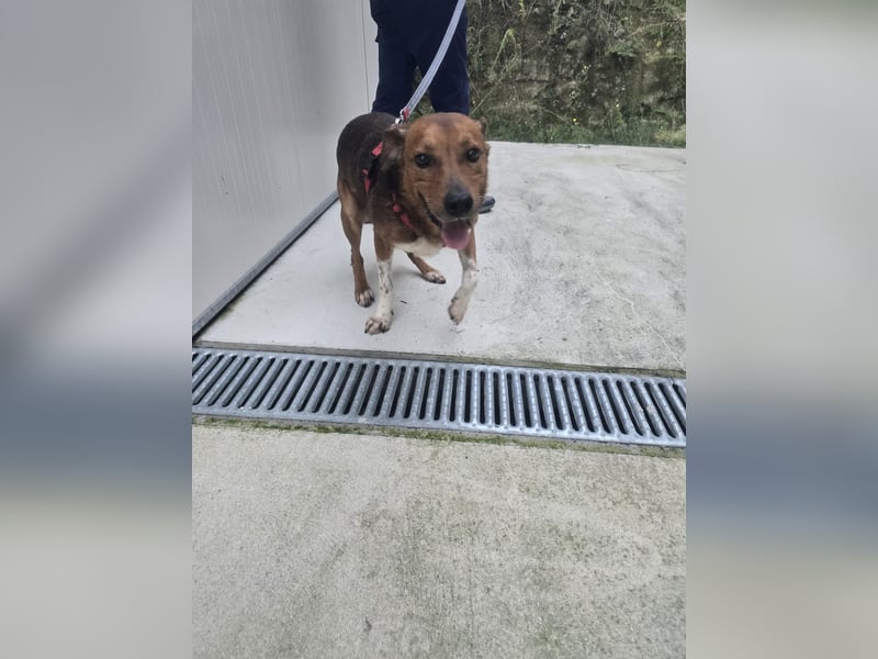 Teilst du Hoods unerschütterliche Lebensfreude?