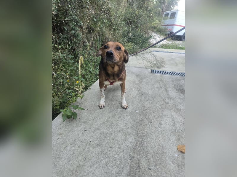 Teilst du Hoods unerschütterliche Lebensfreude?