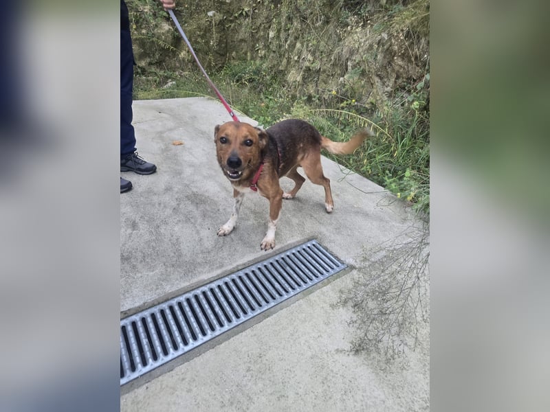 Teilst du Hoods unerschütterliche Lebensfreude?