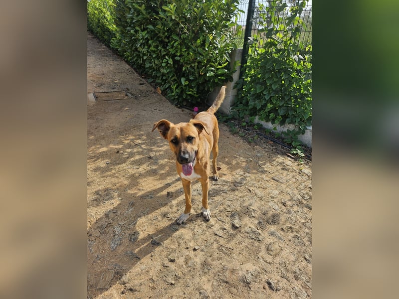 Geben Sie Loki den Sonnenschein wieder zurück ins Leben?