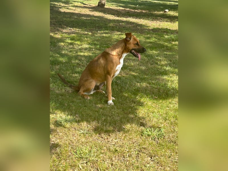 Geben Sie Loki den Sonnenschein wieder zurück ins Leben?