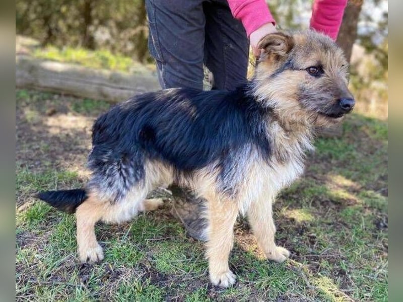 GASTON liebt Menschen über alles GASTON liebt Menschen über alles