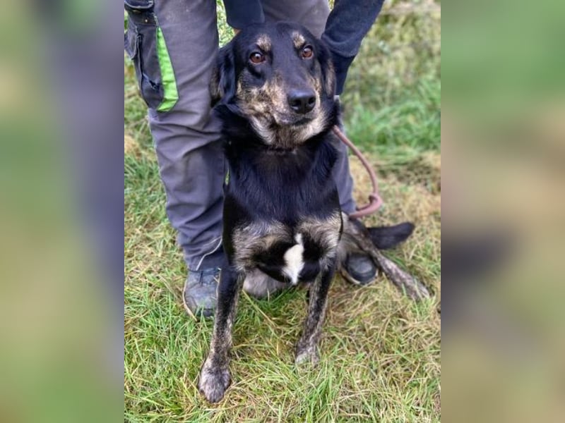 ARON irrte verloren umher ARON irrte verloren umher