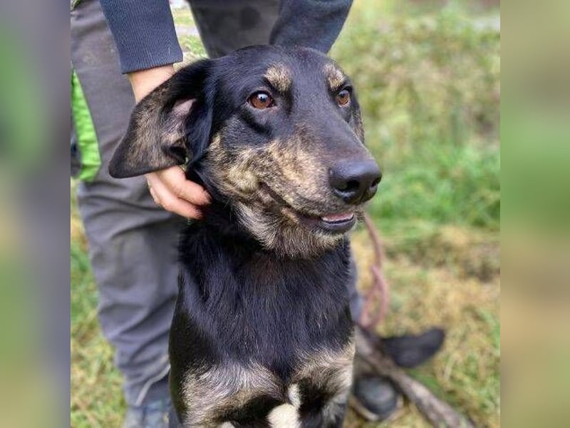 ARON irrte verloren umher ARON irrte verloren umher