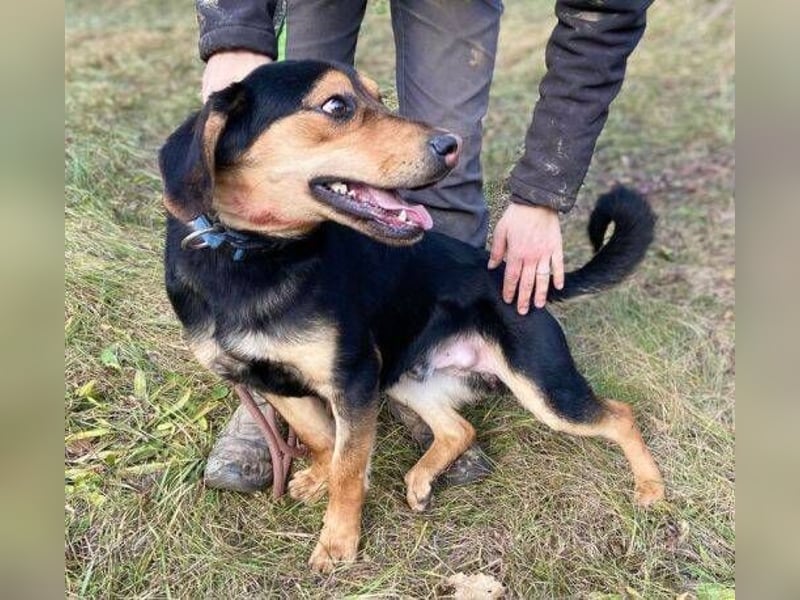 LARRY sucht seine Herzensmenschen LARRY sucht seine Herzensmenschen