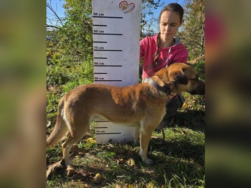 BONNY wurde herzlos zurück gelassen