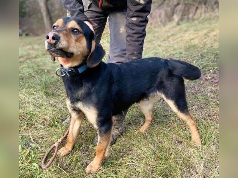 LARRY sucht seine Herzensmenschen LARRY sucht seine Herzensmenschen