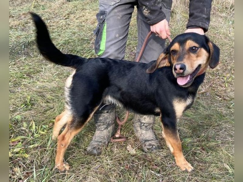 LARRY sucht seine Herzensmenschen LARRY sucht seine Herzensmenschen