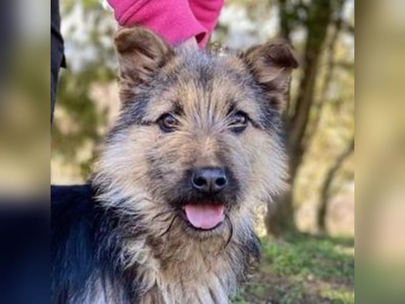 GASTON liebt Menschen über alles GASTON liebt Menschen über alles