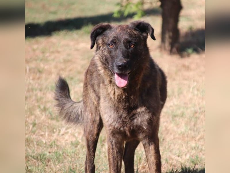 LUA ist sehr lieb und verträglich LUA ist sehr lieb und verträglich