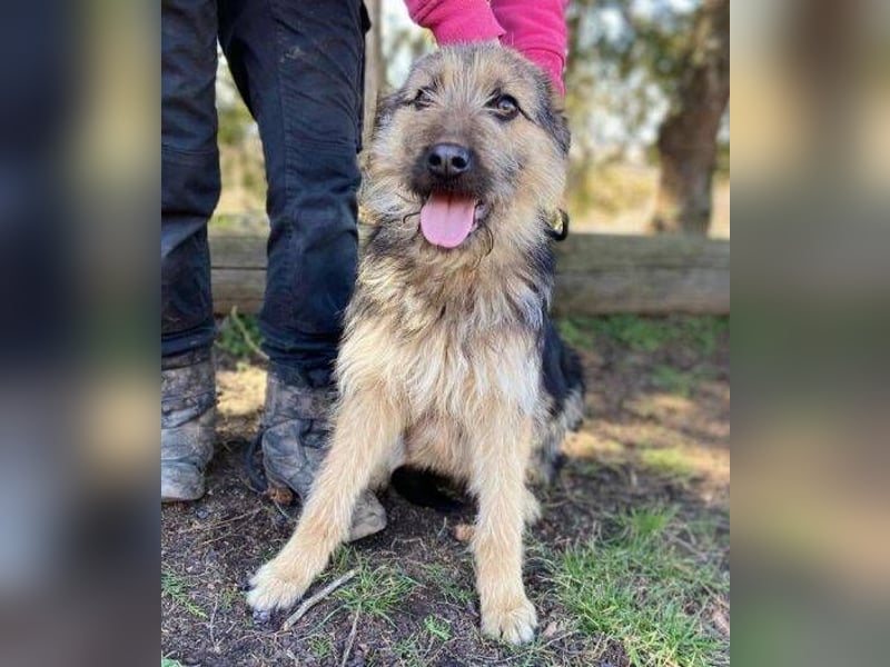 GASTON liebt Menschen über alles GASTON liebt Menschen über alles
