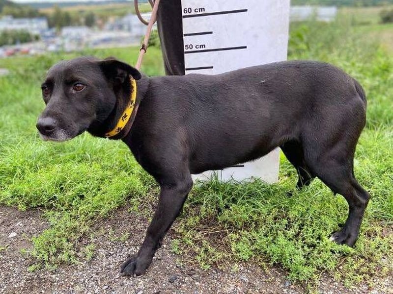 EBONY sehnt sich nach Geborgenheit EBONY sehnt sich nach Geborgenheit