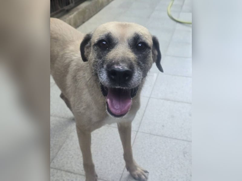 KIKA, wer ist ihre Rettung? KIKA, wer ist ihre Rettung?