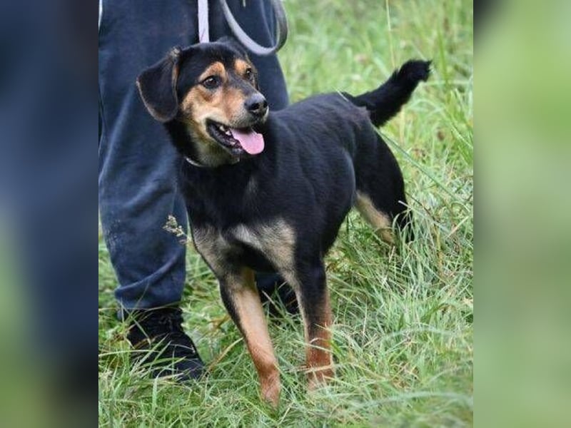 LARRY sucht seine Herzensmenschen LARRY sucht seine Herzensmenschen