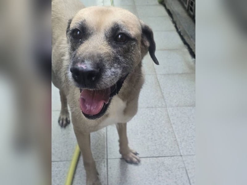 KIKA, wer ist ihre Rettung? KIKA, wer ist ihre Rettung?